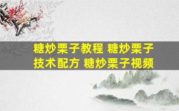 糖炒栗子教程 糖炒栗子技术配方 糖炒栗子视频